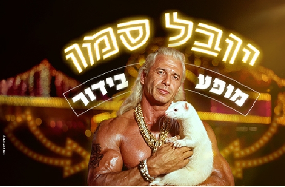 תמונת מופע: יובל סמו